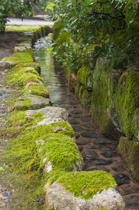 来源 植物 花园 日本人 流动的 灌溉 公园 自然 森林