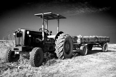 农业 机器 夏天 美丽的 乡村 拖拉机 机械 行业 轮胎
