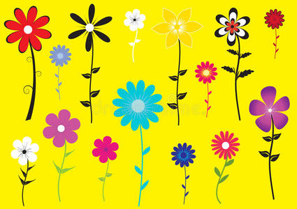 五颜六色的花卉图案
