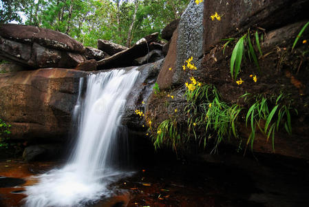 岩石 小溪 美丽的 纯洁 自然 公园 流体 级联 春天 植物