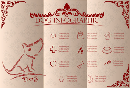 狗信息图形和图标集