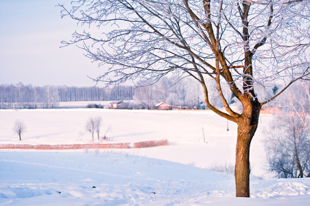 白雪皑皑的冬天风景