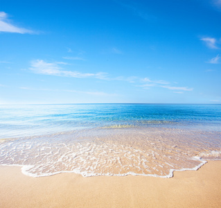 海滩和热带海