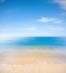 海滩和热带海