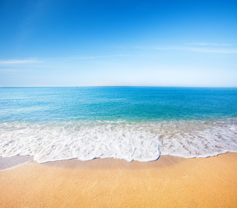 海滩和热带海