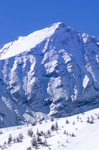 在冬天的山