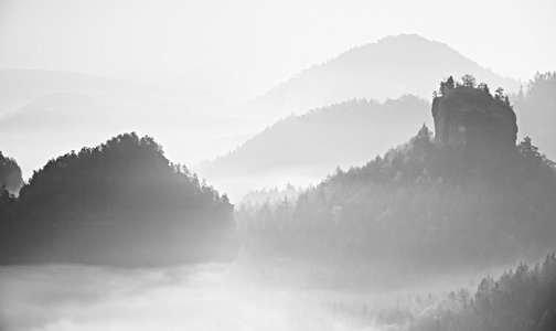 在景观的粉红色黎明。雾的早晨，在美丽的山丘。在雾中的山的山峰