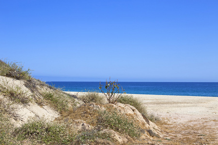 海旁旷野