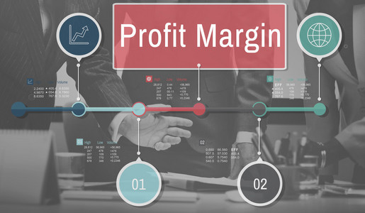 财政收入利润率图片