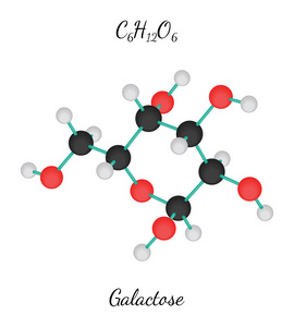 C6h12o6 半乳糖分子