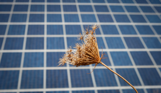 太阳能源农场股票图像