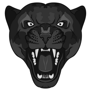 豹的肖像。愤怒的野生大猫