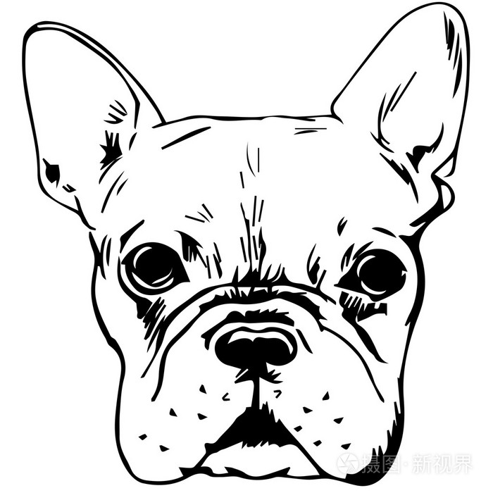 法国斗牛犬的图形矢量插图. 孤立向量d