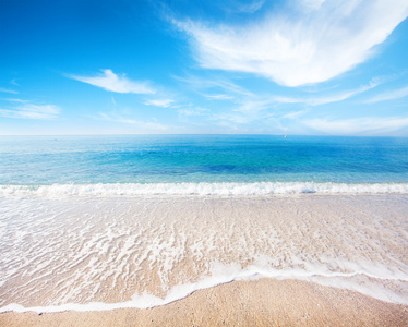 海滩和热带海