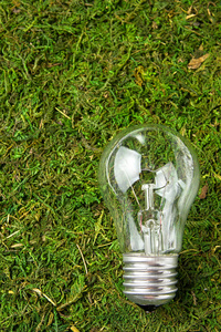 生态学的概念。灯泡上绿色天然苔藓与副本空间