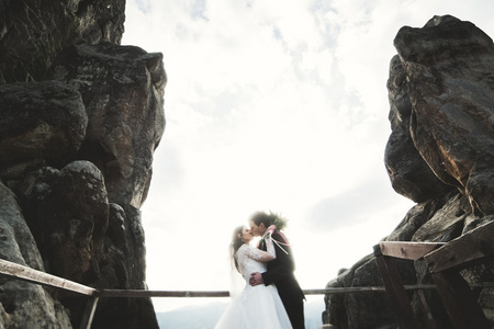 幸福的新婚夫妇，新娘和新郎构成附近岩石的美丽的景色