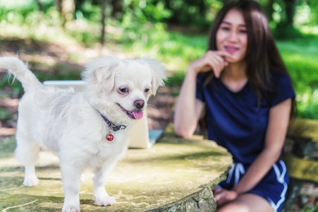 年轻快乐的女人与她的狗和笔记本电脑