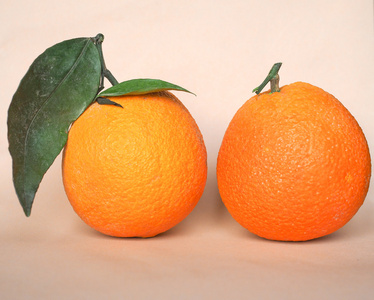 橙果柑橘