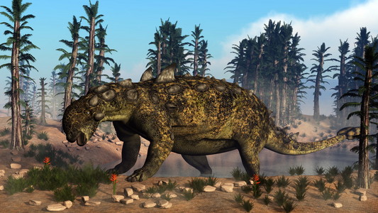 Euoplocephalus 恐龙3d 渲染