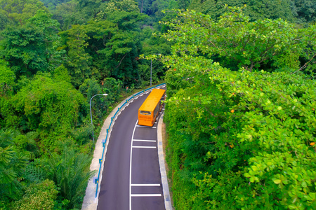 长途旅行 黄色公共汽车在森林的道路上旅行