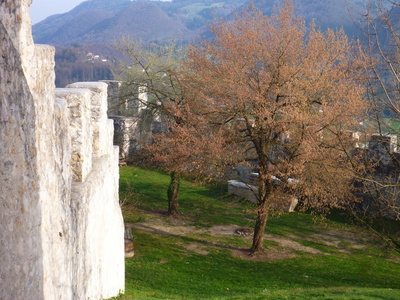 在采列的中世纪城堡的要塞图片