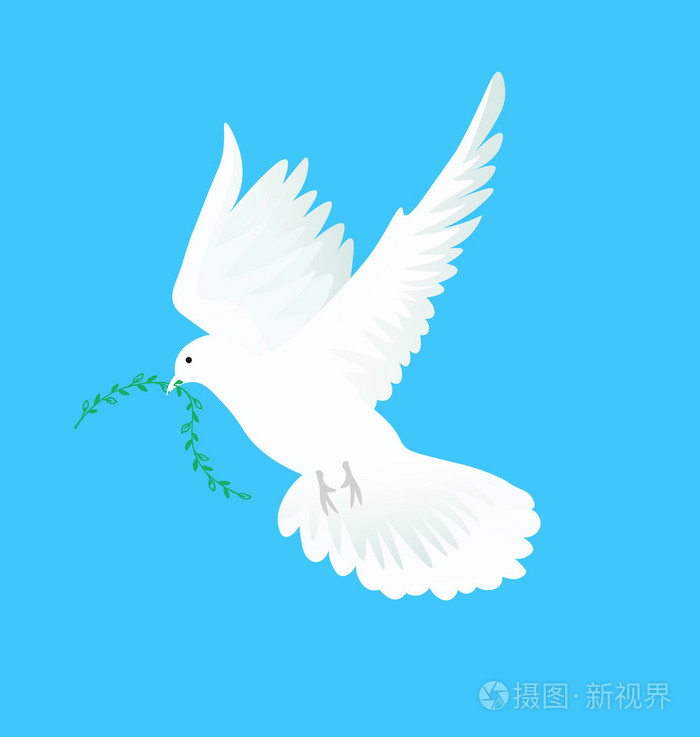 矢量图的白色的鸽子飞翔在湛蓝的天空,翠绿的树枝,在嘴里.和平的象征