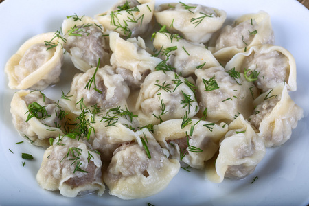 俄罗斯饺子照片