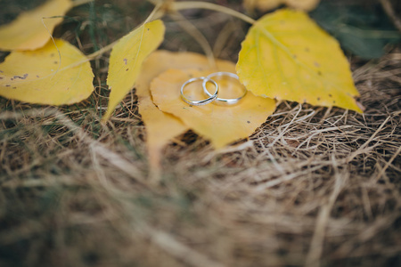 在黄色的树叶上的结婚戒指图片