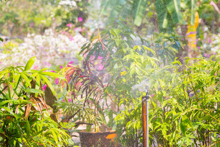 热带植物洒水喷头