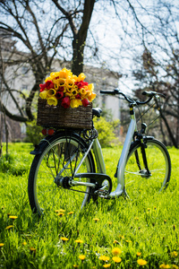 自行车用鲜花