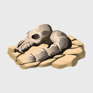 在石头上的古代动物的骨架