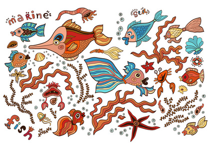 彩色的套上热带海洋生命的元素。海洋集合  海藻 鱼 贝壳 海星