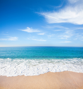 海滩和热带海