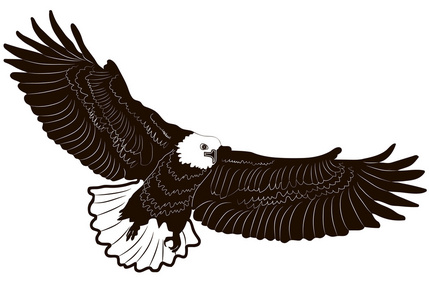 图像图形样式的孤立的白色背景上的鹰