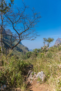 Doi 銮蒋道山景观 清迈 临屋区的路径