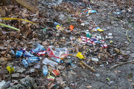 保护 生态学 处置 倾倒 生活 城市 垃圾 废旧物品 垃圾场