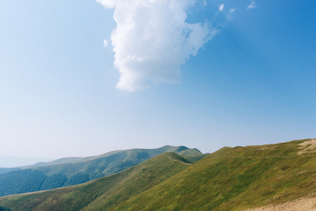 高山绿色