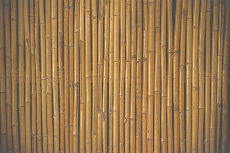 竹篱笆背景电影风格