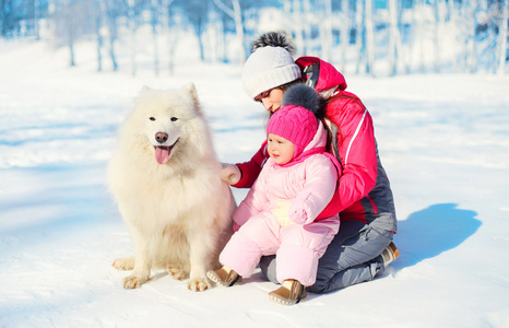 妈妈和宝宝一起在冬天的雪地上的白色萨摩耶狗