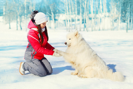 女老板教白色的萨摩耶德犬在冬季的一天