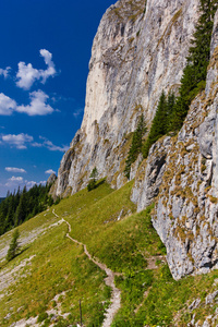 在此 Craiului 山的山路