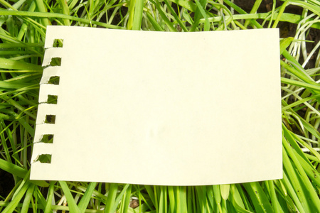 一张空白的纸上的绿草背景