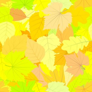 无缝模式。秋天的树叶