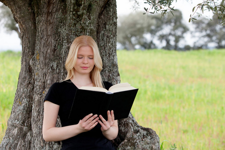 读一本书树下的女人