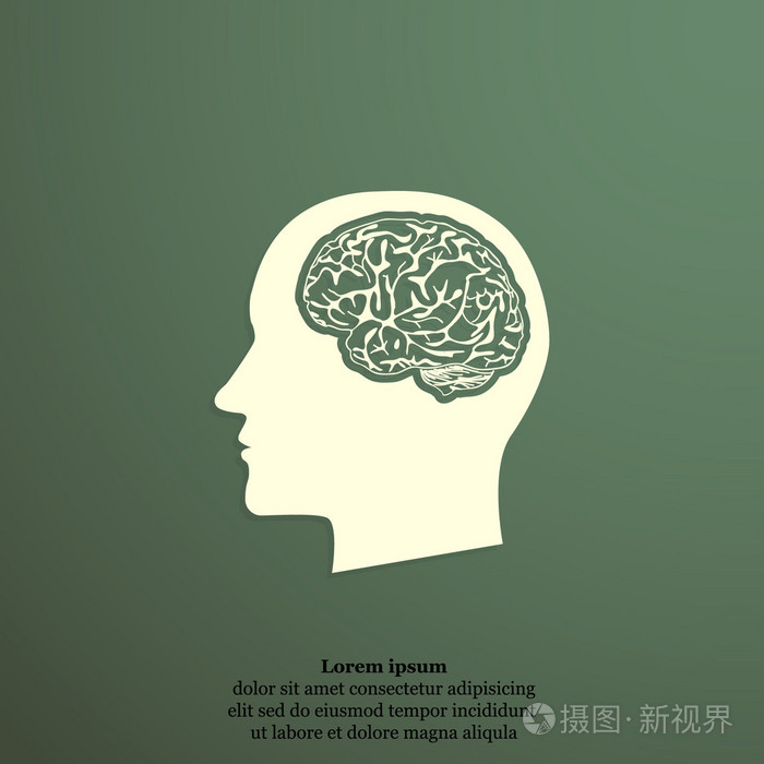 头部与大脑图标