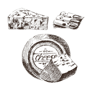 矢量奶酪素描绘图设计器的模板。农场的食物集合。手画的乳制品