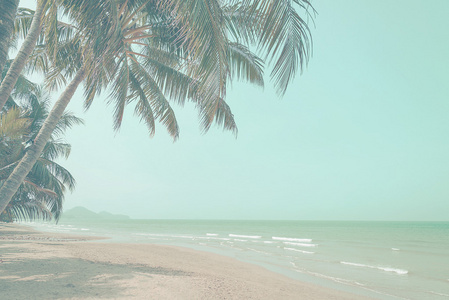 热带海滩与椰子棕榈在夏季时间