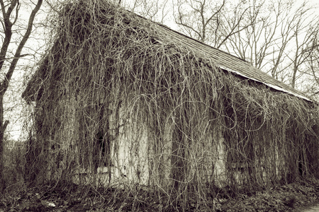 恶化被遗弃的鬼屋老房子