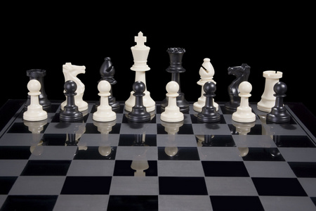 国际象棋多样性白王图片