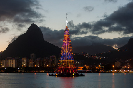 在巴西多彩圣诞树图片